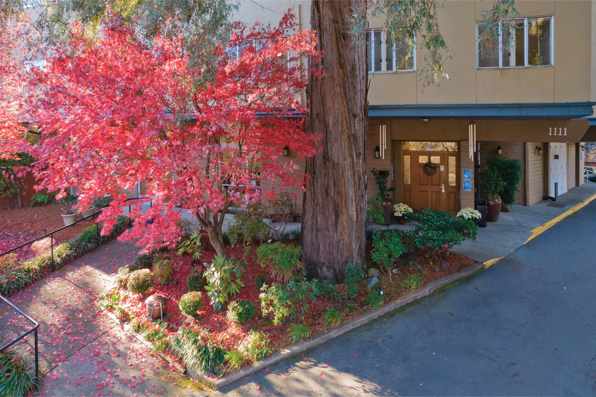 Entrance of a senior living facility with a large tree and vibrant red-leaved tree in front, surrounded by green shrubs and plants. The building has a beige exterior with a brown door and the address number 1111 visible above the entrance.