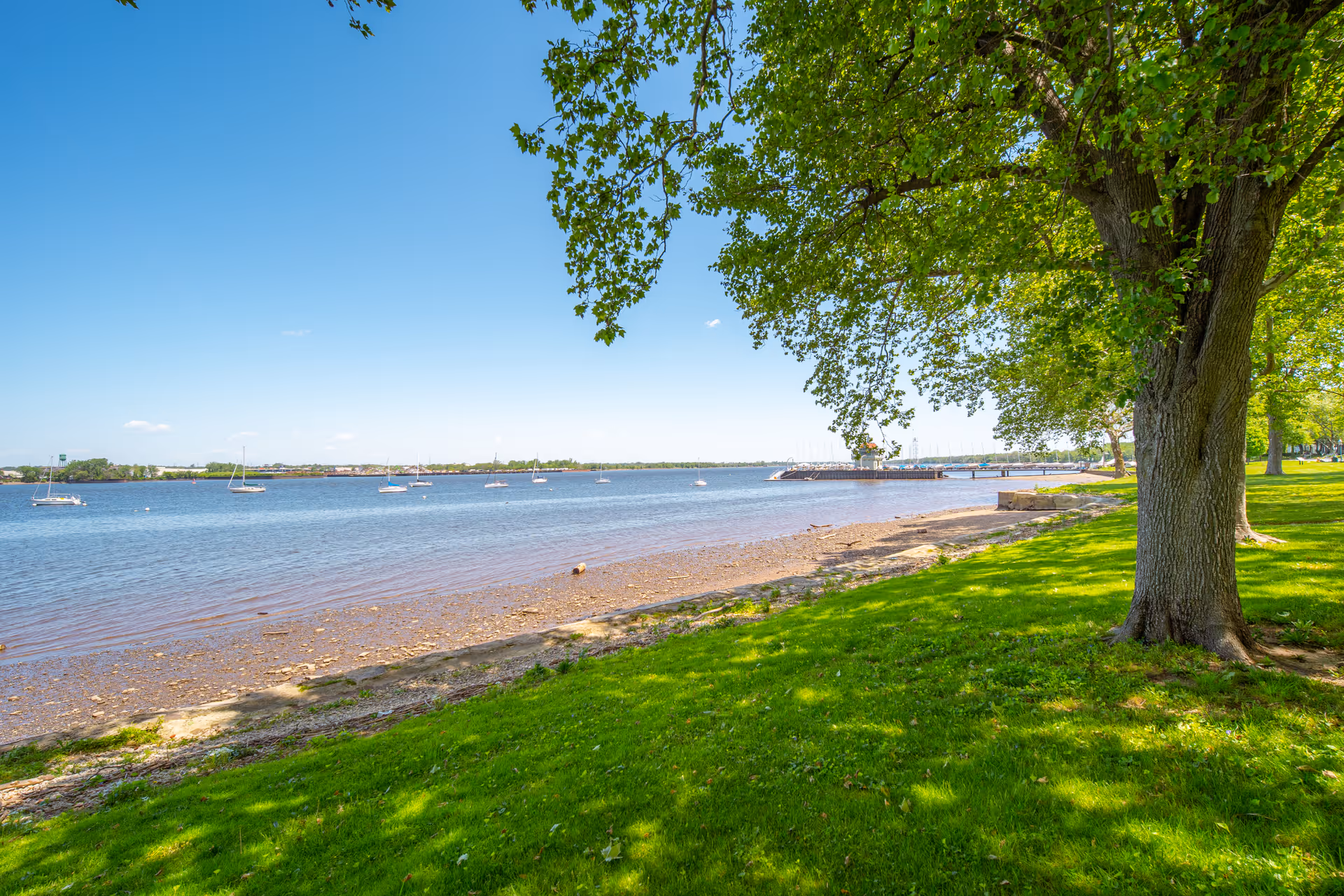 A peaceful waterfront scene with a grassy area and large trees providing shade along the shoreline. Several sailboats are anchored in the calm water under a clear blue sky.