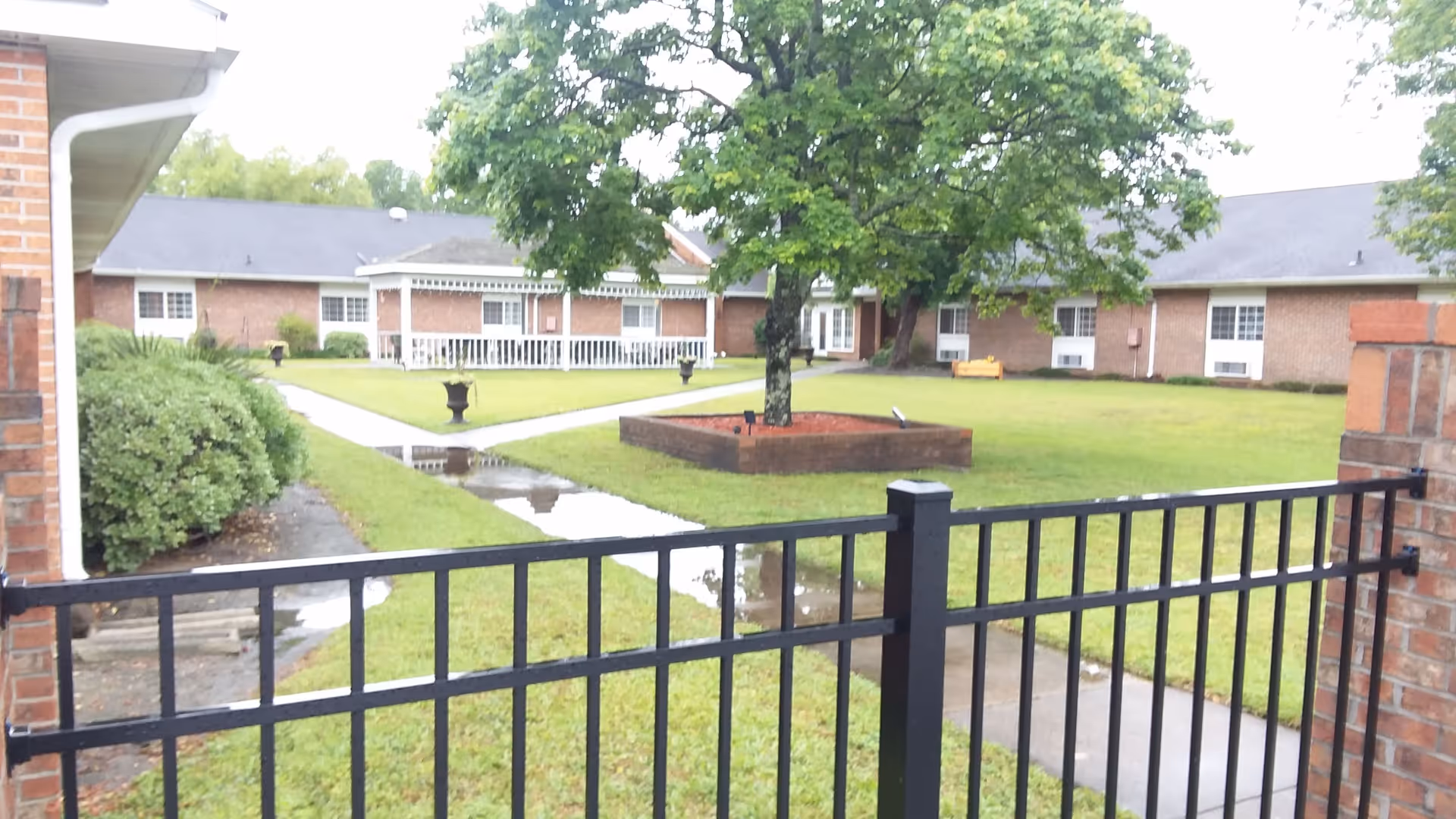 View of a courtyard area in a senior living facility with a black metal gate in the foreground, green grass, a large tree in the center surrounded by a raised brick planter, and single-story brick buildings with white-trimmed windows in the background.