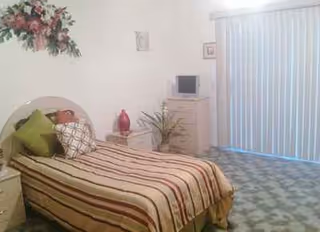 A bedroom with a striped bed, dresser, TV, and potted plants near sliding doors.