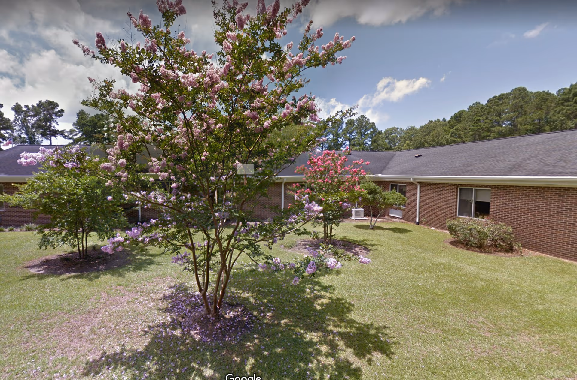 Grassy courtyard with blooming crepe myrtle trees in front of a single-story brick nursing home building.