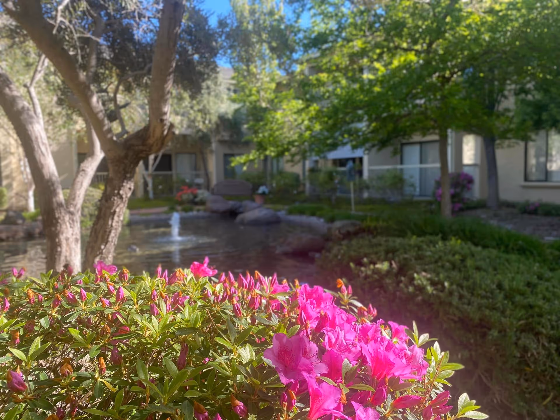 A garden area with vibrant pink flowers in the foreground, trees, shrubs, and a small pond with a water fountain. In the background, there are windows and doors of a building, likely part of a senior living facility.