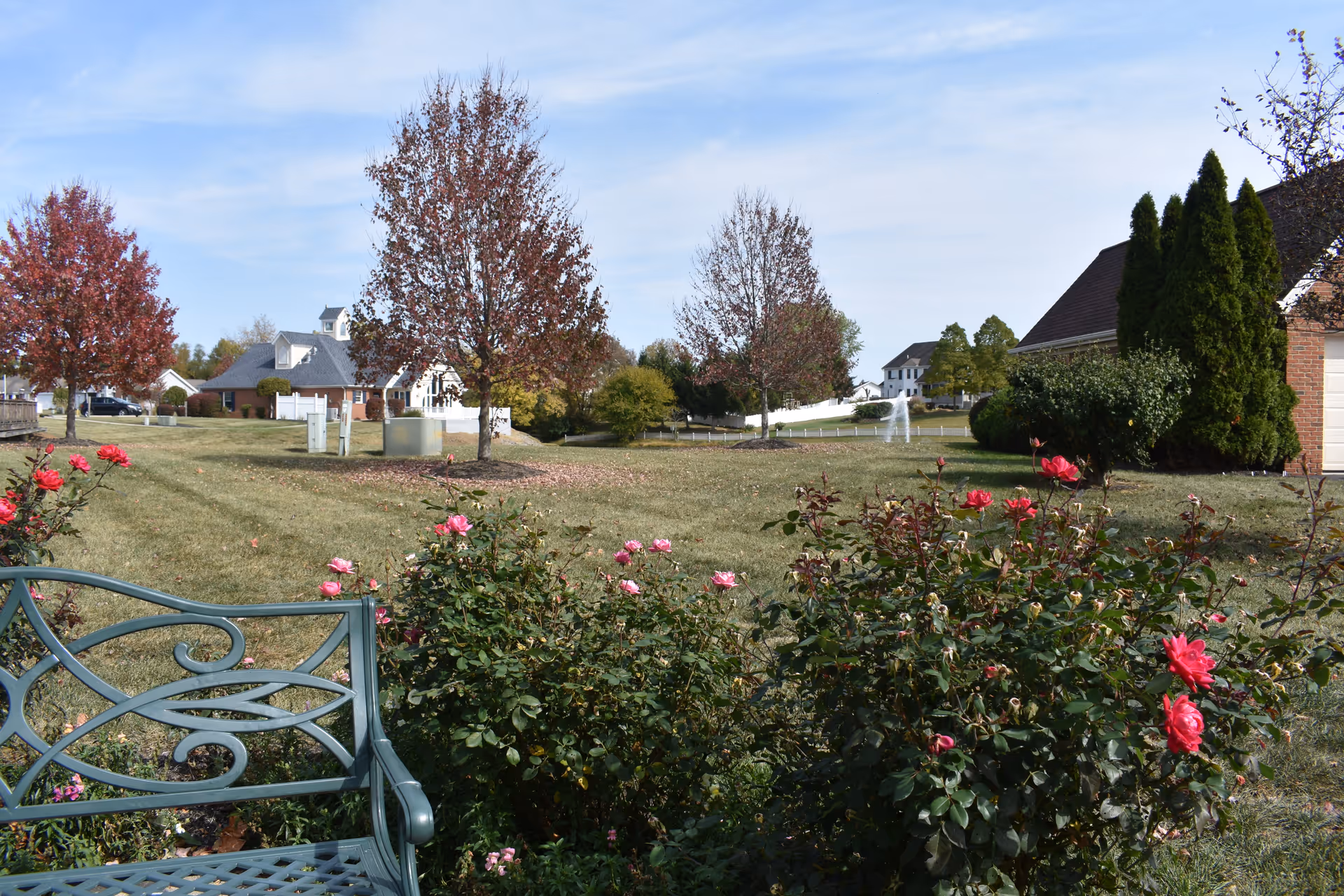 Flowering rose bushes and a metal bench overlooking a grassy courtyard with trees, a fountain, and buildings in the background.