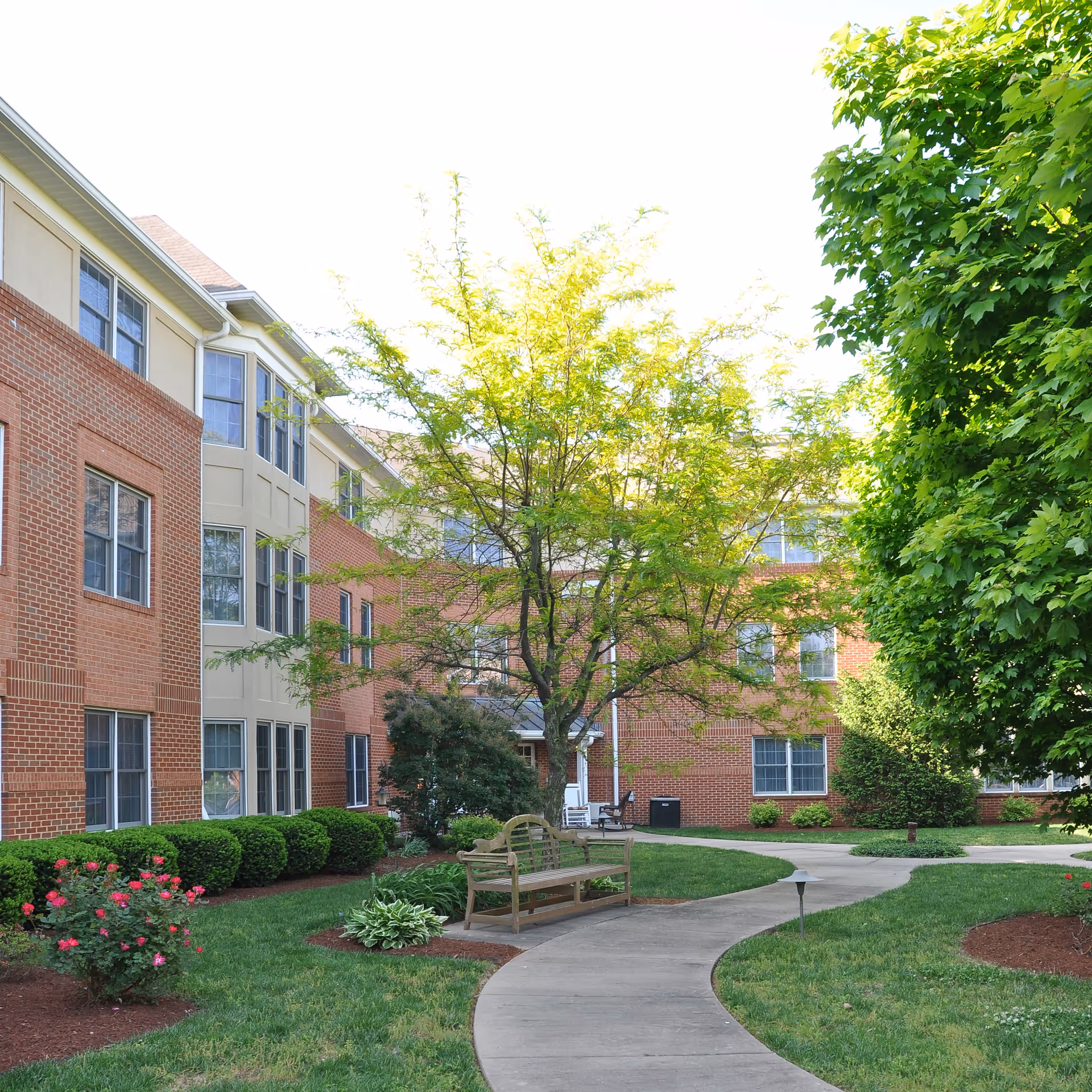 Courtyard of a brick multi-story senior living building with a curving walkway, benches, trees, and landscaped shrubs.