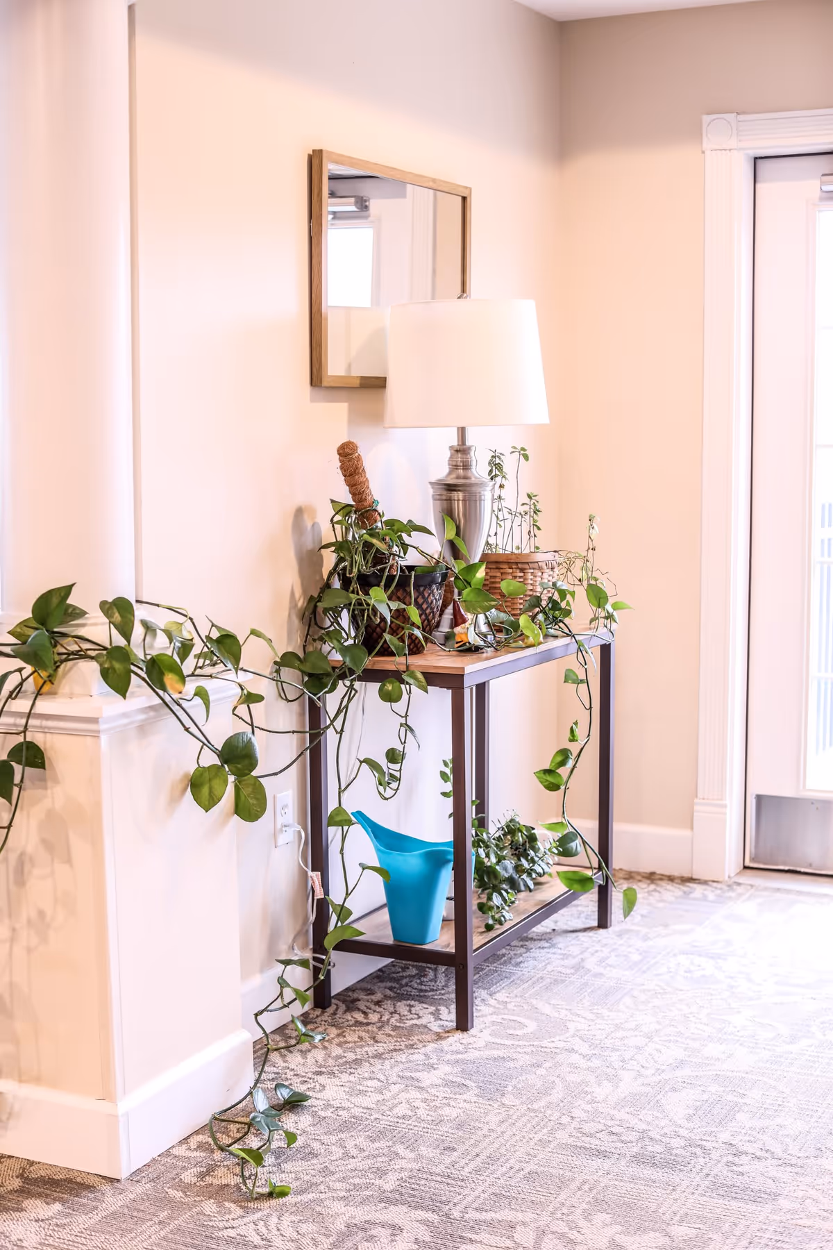 A corner of a room with a small wooden table holding several potted plants and a silver table lamp with a white shade. A rectangular mirror with a wooden frame hangs on the wall above the table. A long trailing plant extends from the table and drapes down to the floor. The floor is covered with a patterned carpet, and there is a door with glass panels on the right side.