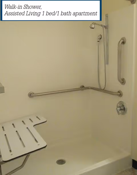 Walk-in shower with a fold-down bench, handheld showerhead, and multiple grab bars.