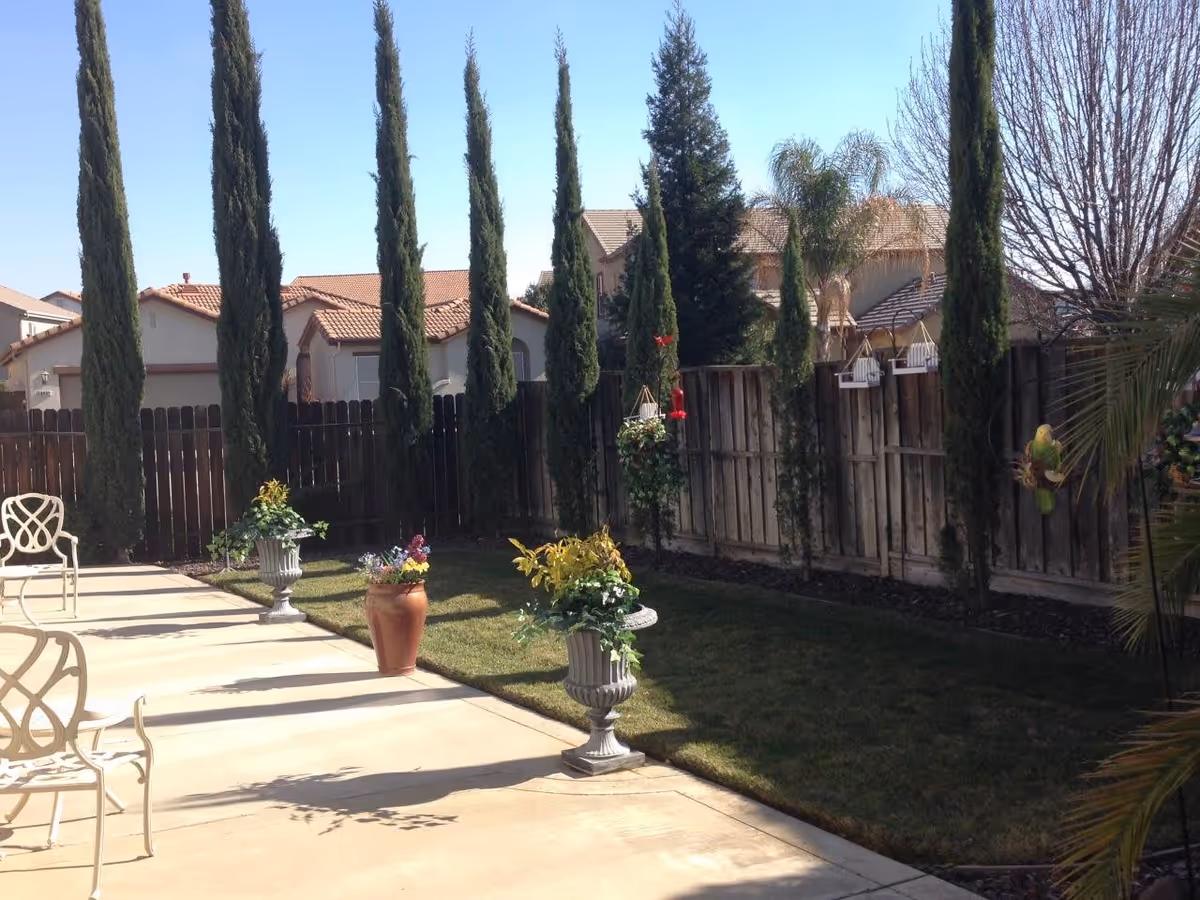 Sunny backyard patio with potted plants, a lawn, tall cypress trees and a wooden fence with neighboring houses beyond.