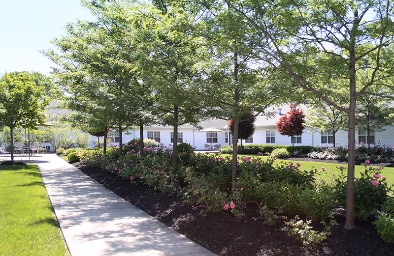 A sunny outdoor garden area with a paved walkway lined by trees and flower beds. In the background, there is a white building with multiple windows and a well-maintained lawn.