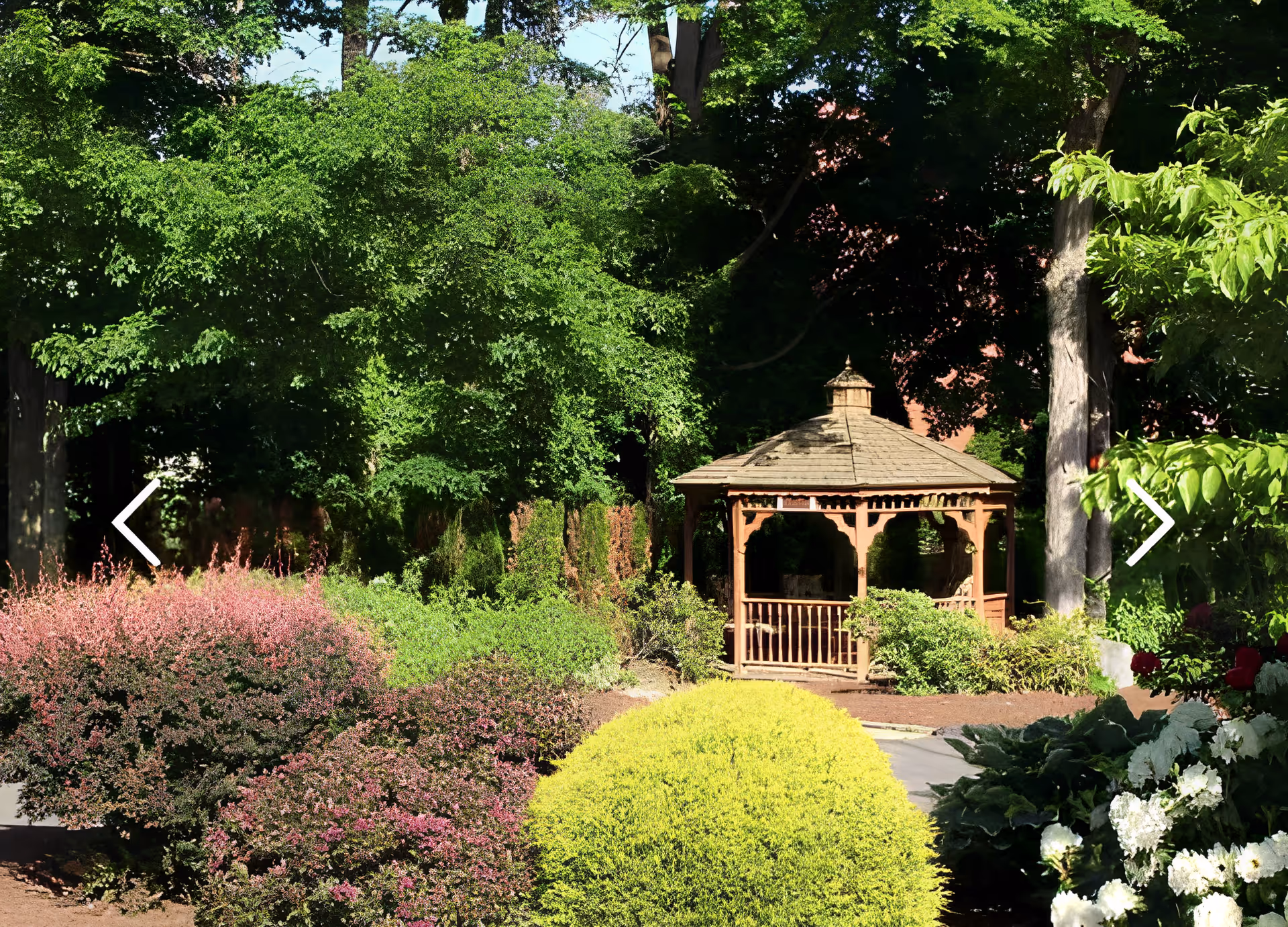 A lush garden area with various green and flowering bushes, trees, and a wooden gazebo in the background under bright sunlight.