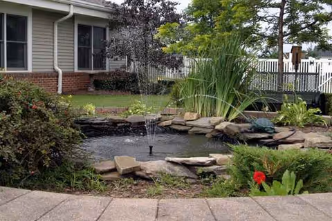Outdoor pond with fountain, rocks, and landscaping near the facility's exterior.