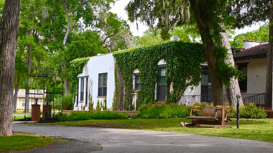 Exterior view of a white building partially covered with green ivy, surrounded by trees and greenery. There is a paved pathway in front, a wooden bench swing on the grass, and a black metal archway near the entrance.