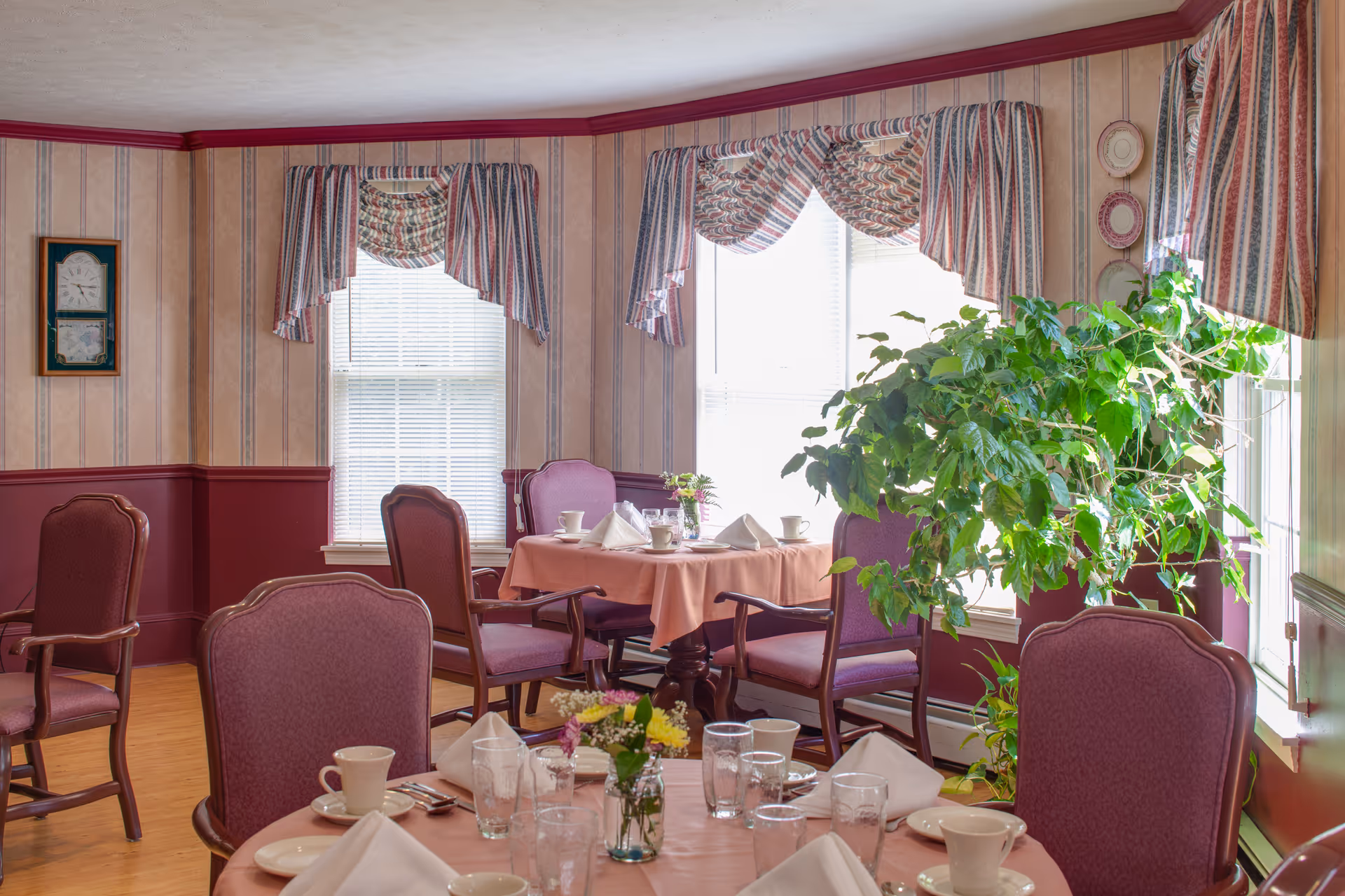 A sunlit dining room with round tables set with pink tablecloths, place settings and upholstered chairs near windows and a large potted plant.