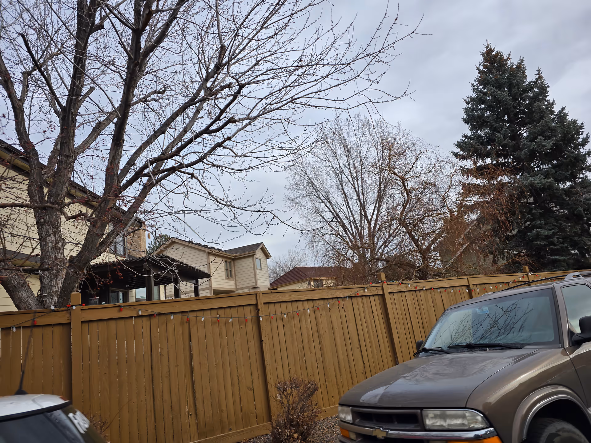 View of a residential area with a tall wooden fence decorated with string lights, leafless trees, and a brown Chevrolet SUV parked in front. The sky is overcast.