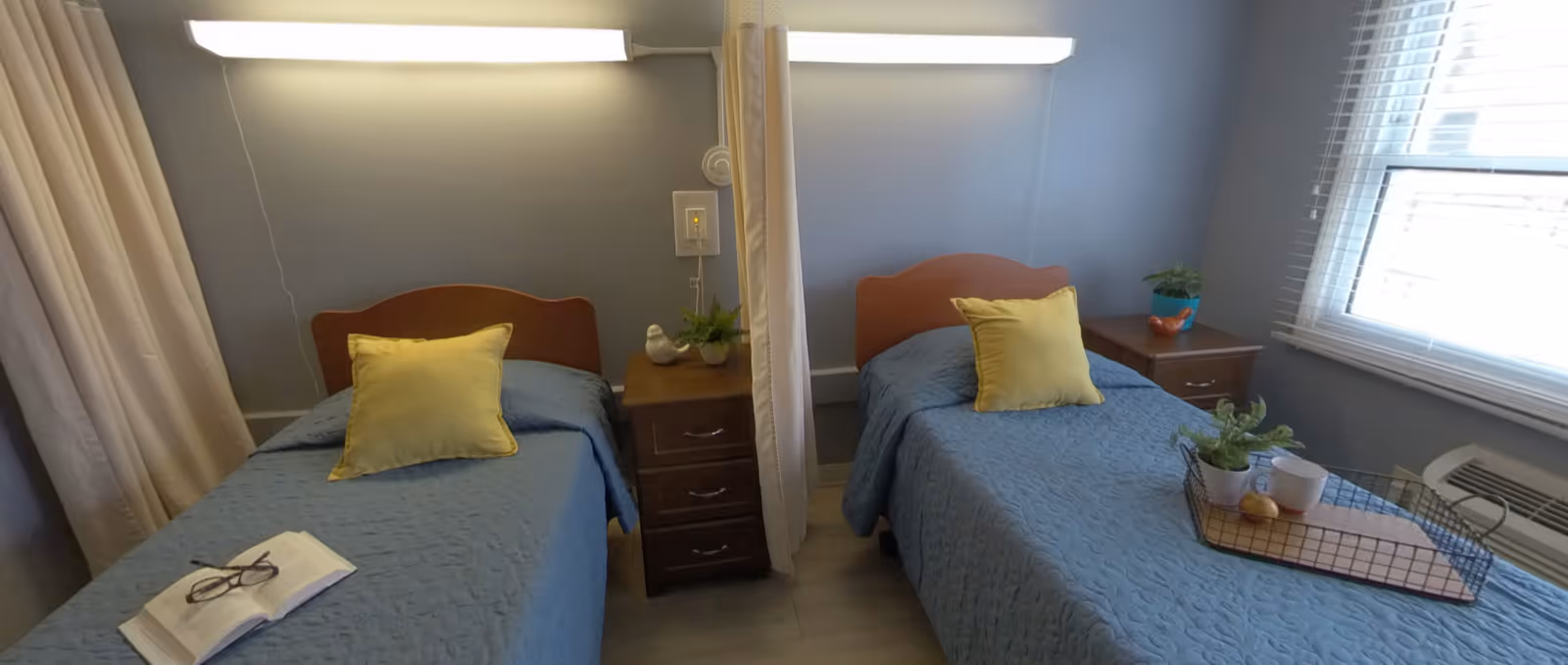A small bedroom with two single beds separated by a curtain. Each bed has a blue quilt and a yellow pillow. There are two wooden nightstands, one between the beds with a small plant and a decorative bird, and another by the window with a plant in a blue pot. A book with glasses rests on the left bed. The room has gray walls, a window with blinds, and an air conditioning unit below the window.