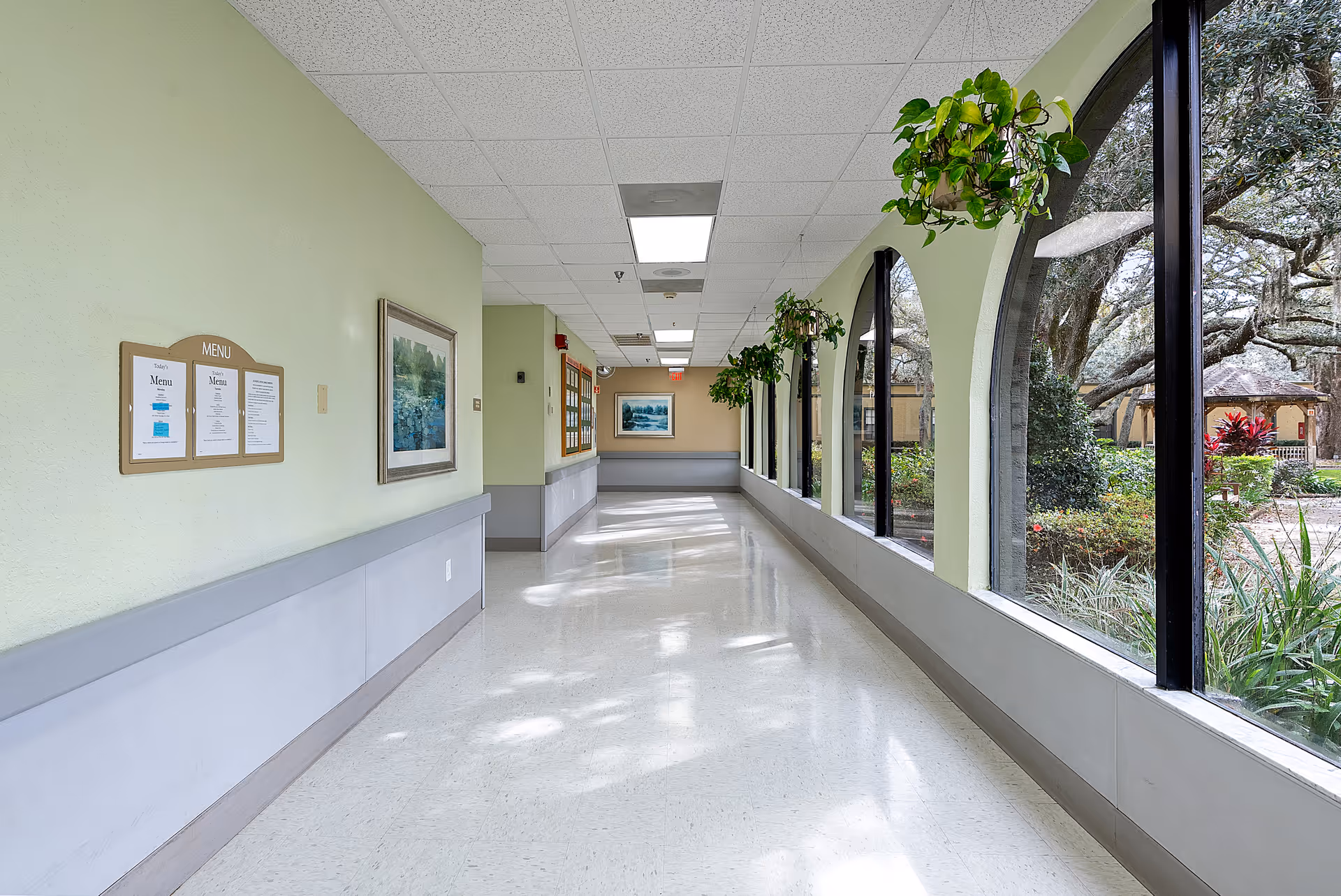 A bright hallway in a senior living facility with large arched windows on the right side showing a garden outside. The hallway has light green walls, hanging plants near the windows, framed pictures on the walls, and a menu board on the left wall.