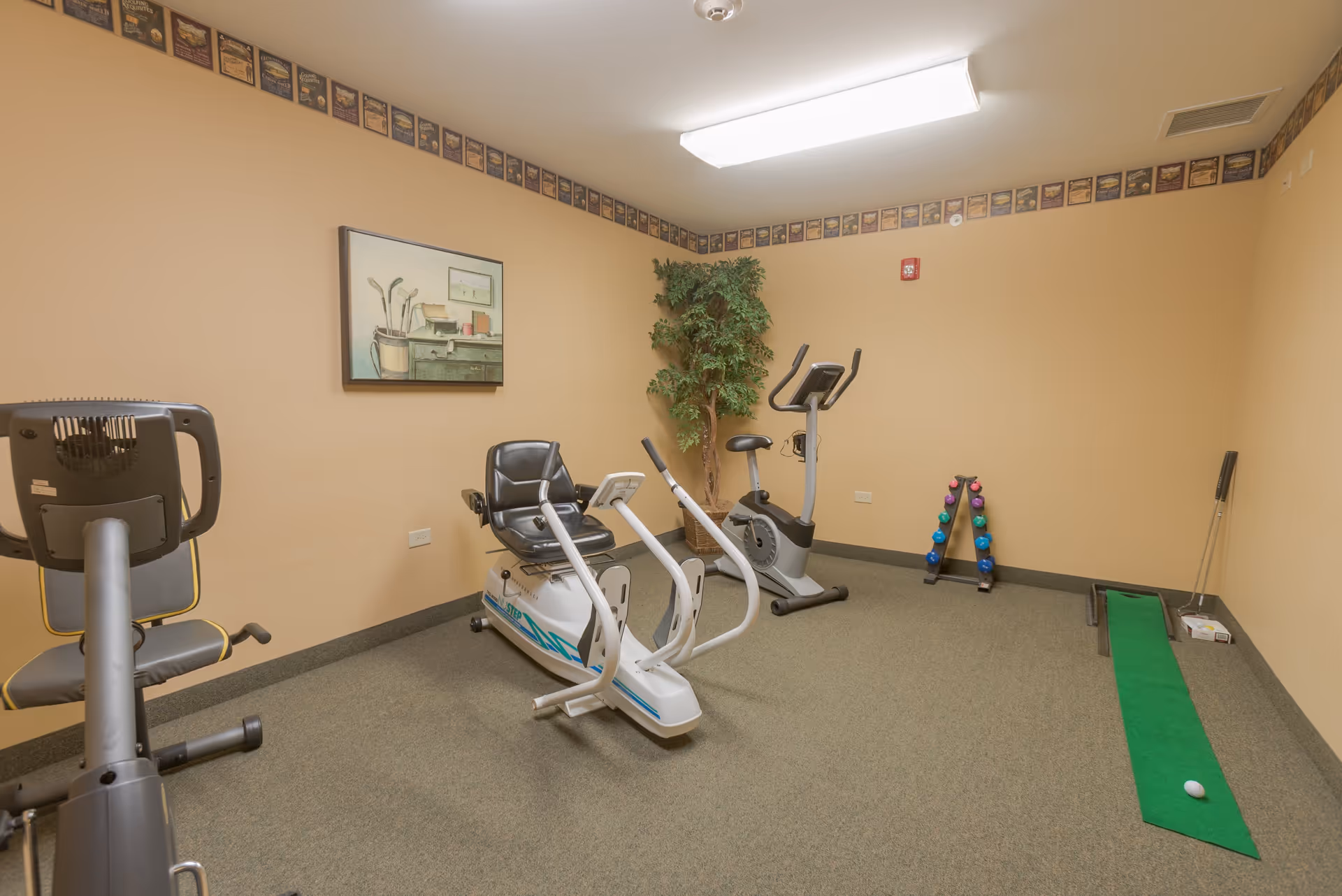 Small fitness room with stationary bikes, a recumbent bike, dumbbells and a putting green.