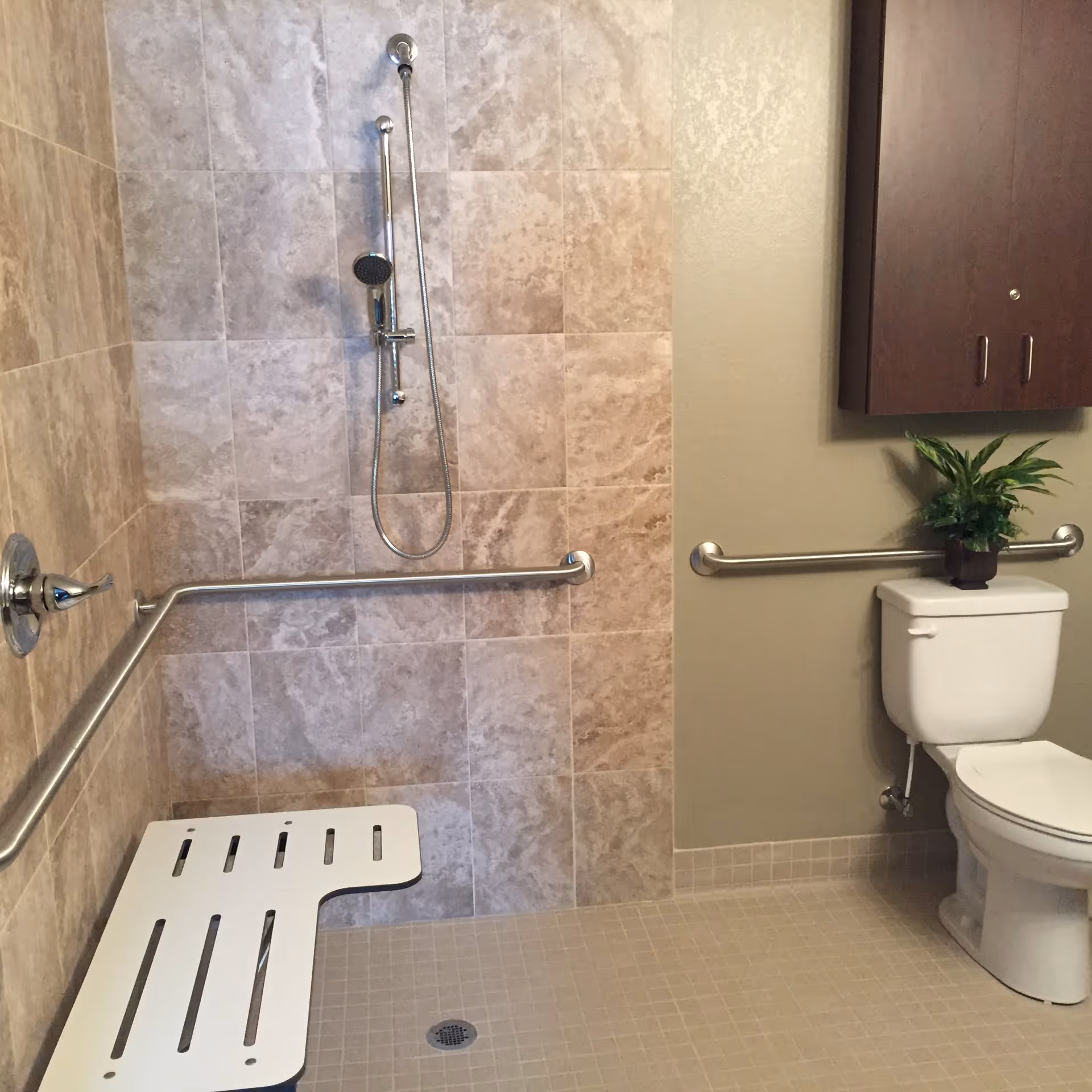 Accessible bathroom with a tiled roll-in shower, wall-mounted showerhead and grab bars, a folding shower seat, and a toilet with a cabinet and plant.