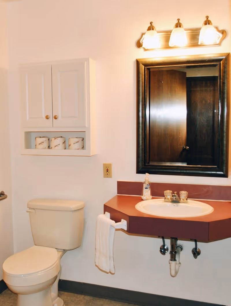 Small bathroom with a toilet, wall-mounted sink with countertop and mirror under a three-light fixture, and a cabinet holding toilet paper.