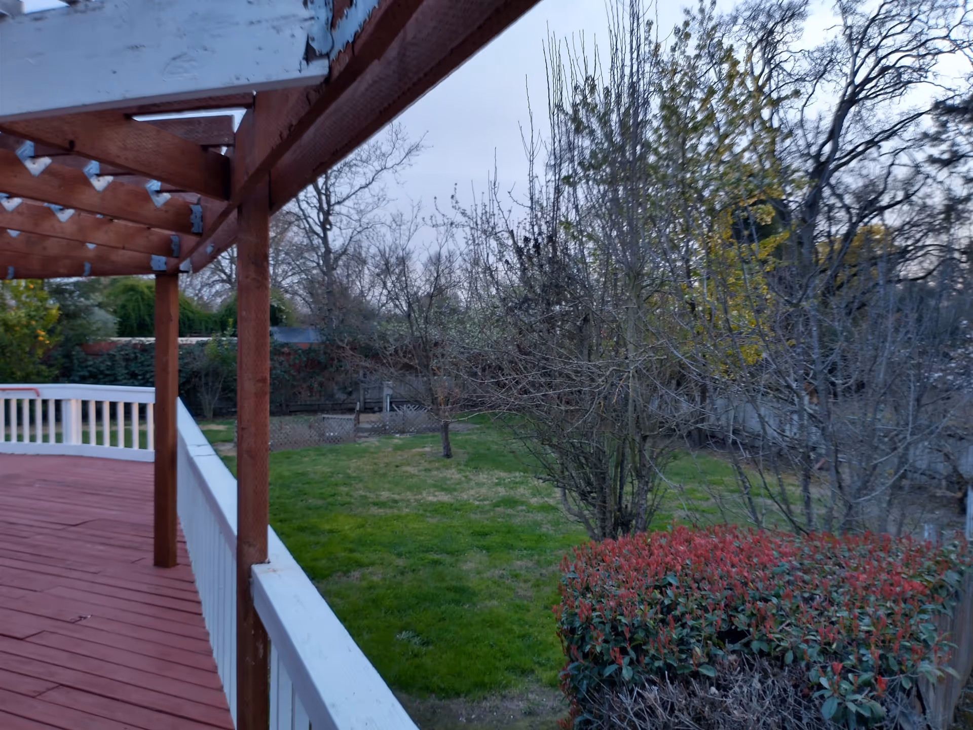 View from a wooden deck with a pergola and white railing overlooking a grassy backyard with trees and shrubs.