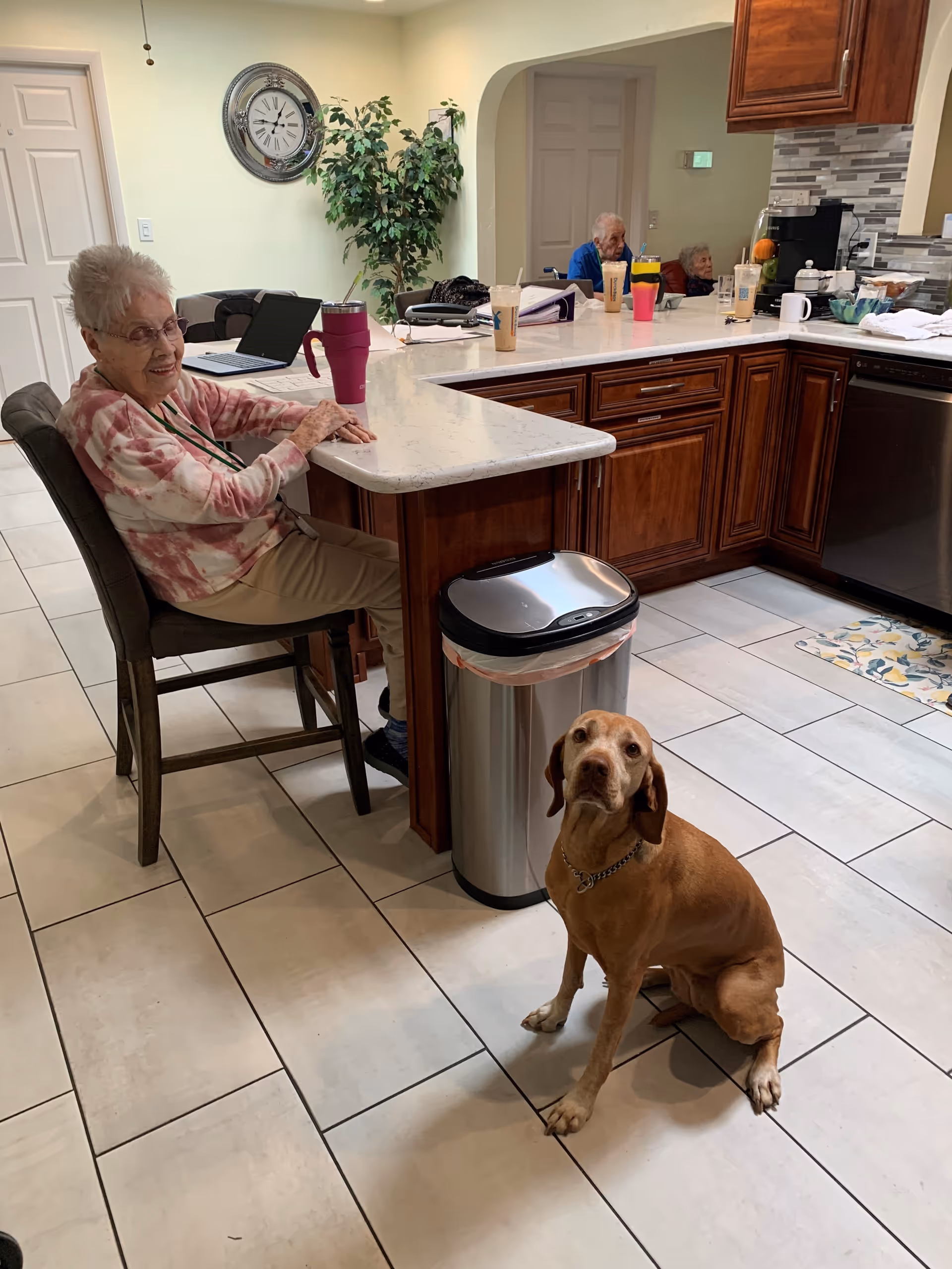 Two residents sitting at a kitchen island while a brown dog sits on the tiled floor in a bright kitchen.