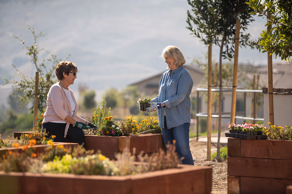 Two elderly women gardening together outdoors in raised garden beds filled with flowers and plants, with a scenic background of hills and trees.