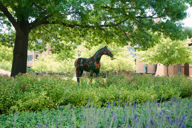 A colorful horse sculpture stands in a lush garden area surrounded by green bushes, purple flowers, and large trees with bright green leaves. In the background, there are brick buildings partially visible through the foliage.