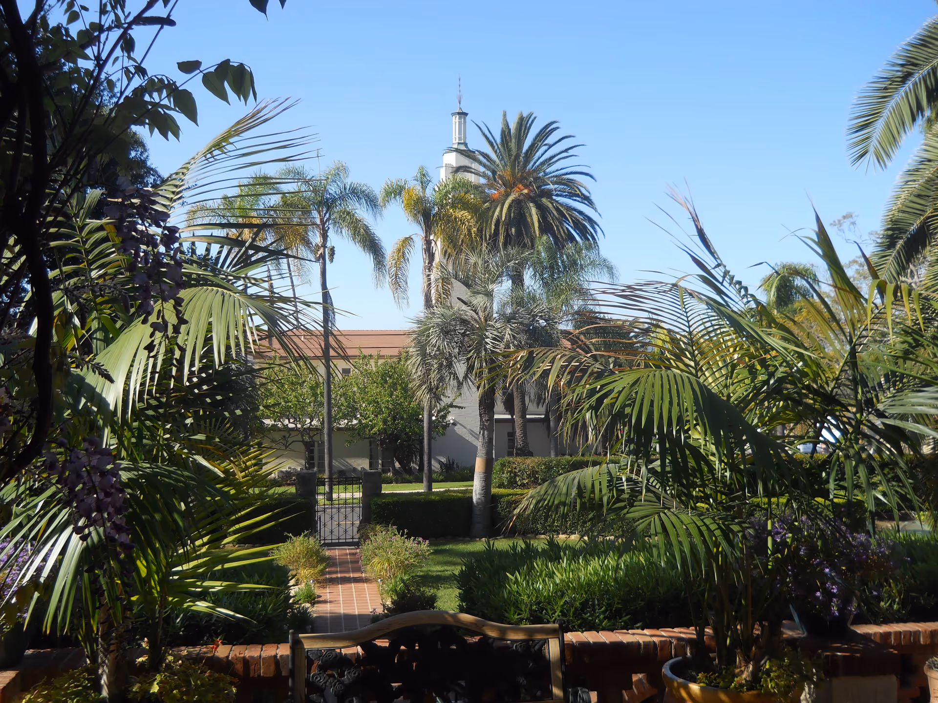 A lush garden area with various palm trees and green plants surrounding a brick pathway leading to a gated entrance. In the background, there is a building with a tower and a clear blue sky overhead.
