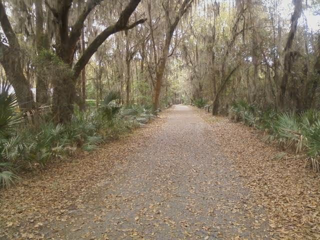 A paved pathway covered with fallen leaves, flanked by dense trees and greenery on both sides, creating a natural tunnel effect.