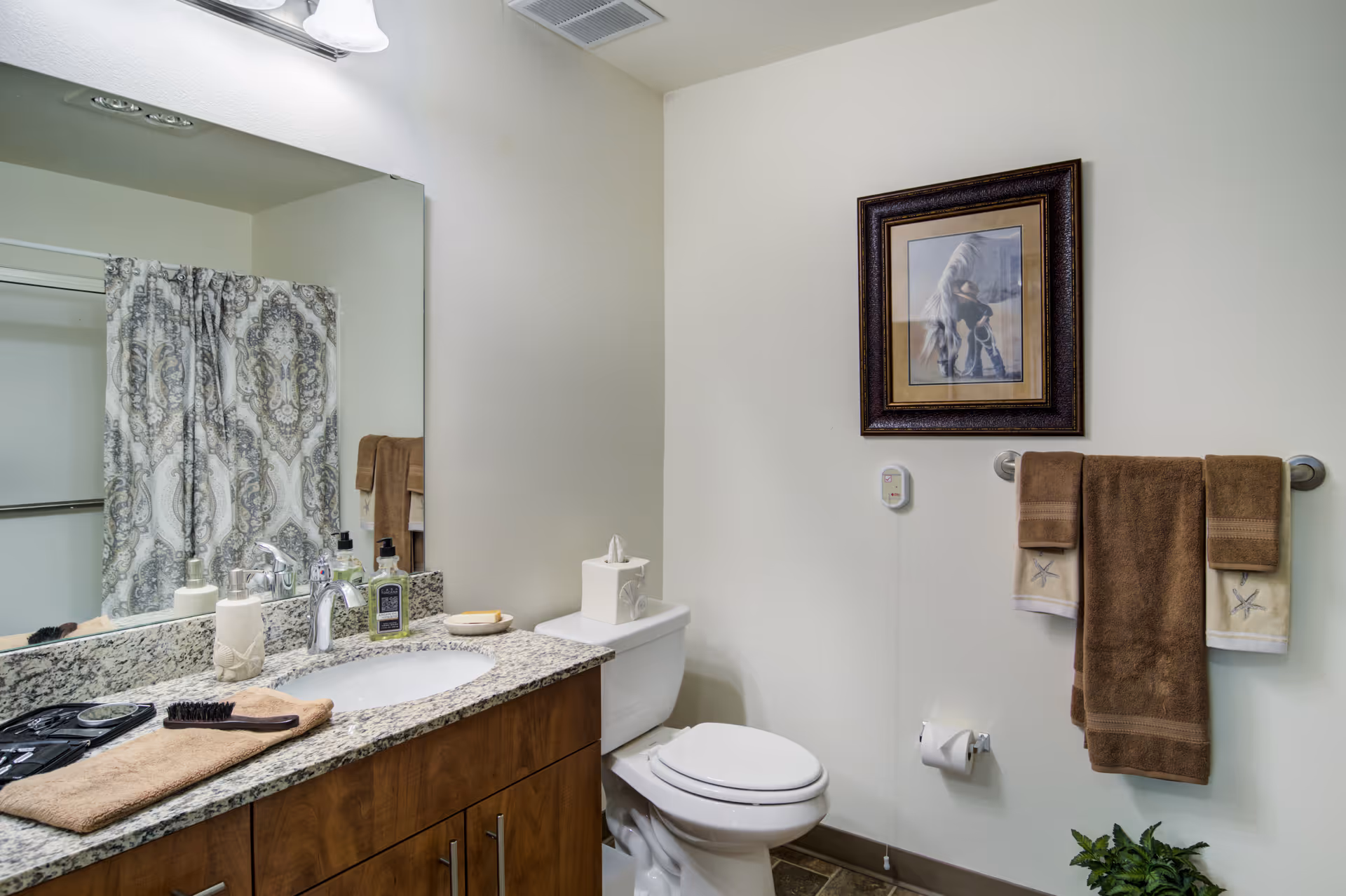 A bathroom with a granite countertop vanity featuring a sink, soap dispenser, and toiletries. There is a toilet next to the vanity, a towel rack with brown and beige towels, a framed picture of a horse on the wall, and a shower curtain with a decorative pattern. The floor has dark tiles and there is a small green plant in the corner.