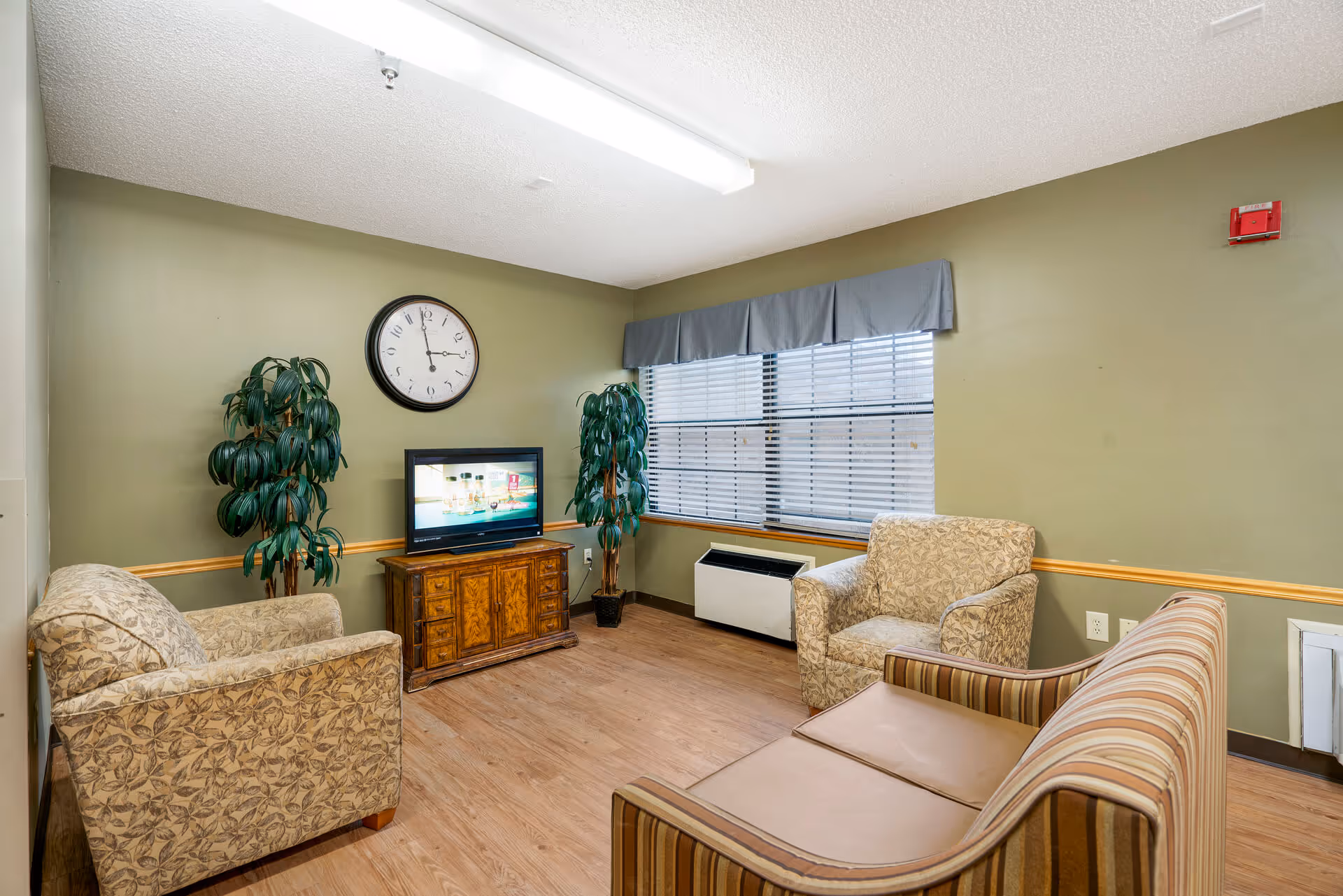 A cozy living room in a senior living facility with green walls, a wooden floor, and a large window with blinds and a gray valance. The room contains a striped sofa, two patterned armchairs, a wooden TV stand with a flat-screen television, two tall potted plants, and a wall clock showing 11:55.