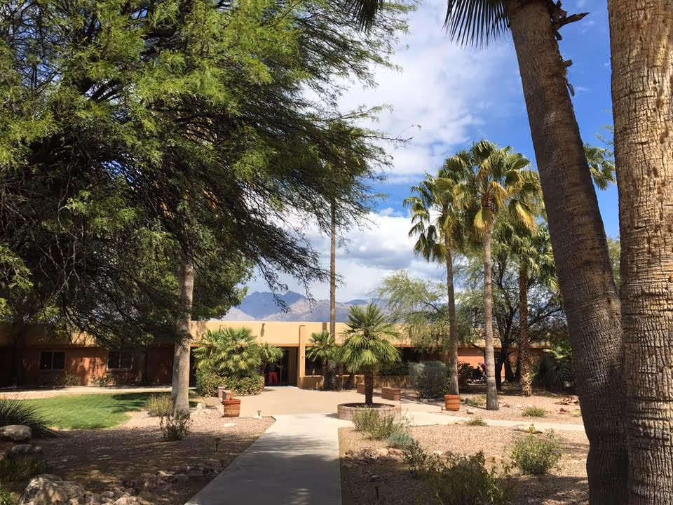 Courtyard walkway leading to a single-story building entrance surrounded by palm trees and desert landscaping under a blue sky.