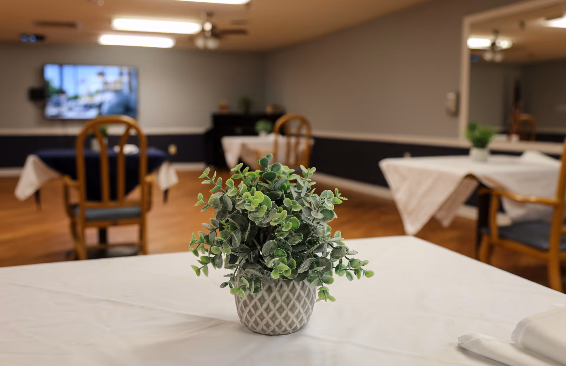 Potted green plant as a centerpiece on a table in a communal dining/activity room with tables, chairs, and a wall-mounted TV in the background.