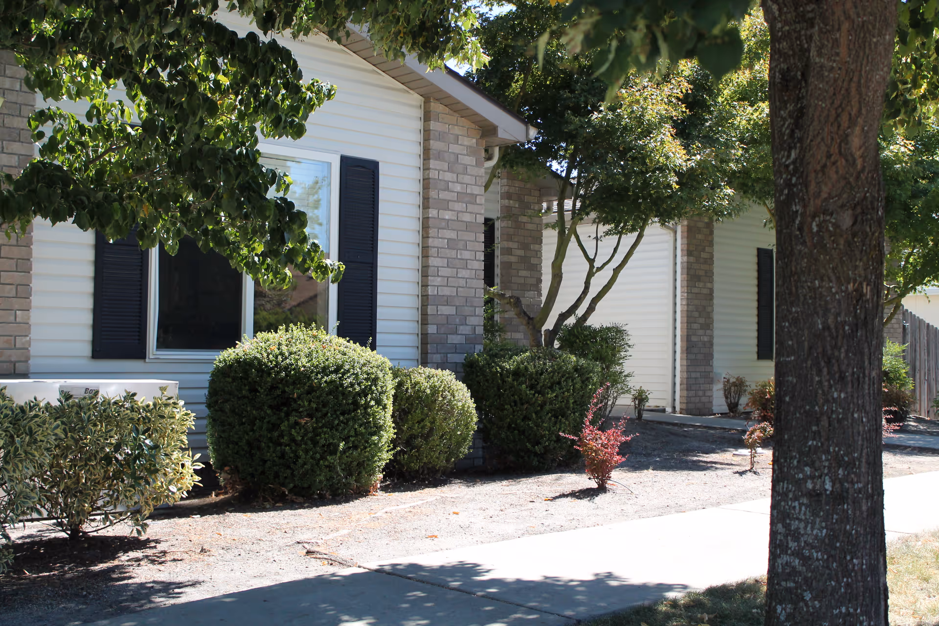 Exterior view of a building with white siding and brick accents, black window shutters, and several green bushes and trees along a sidewalk in front.