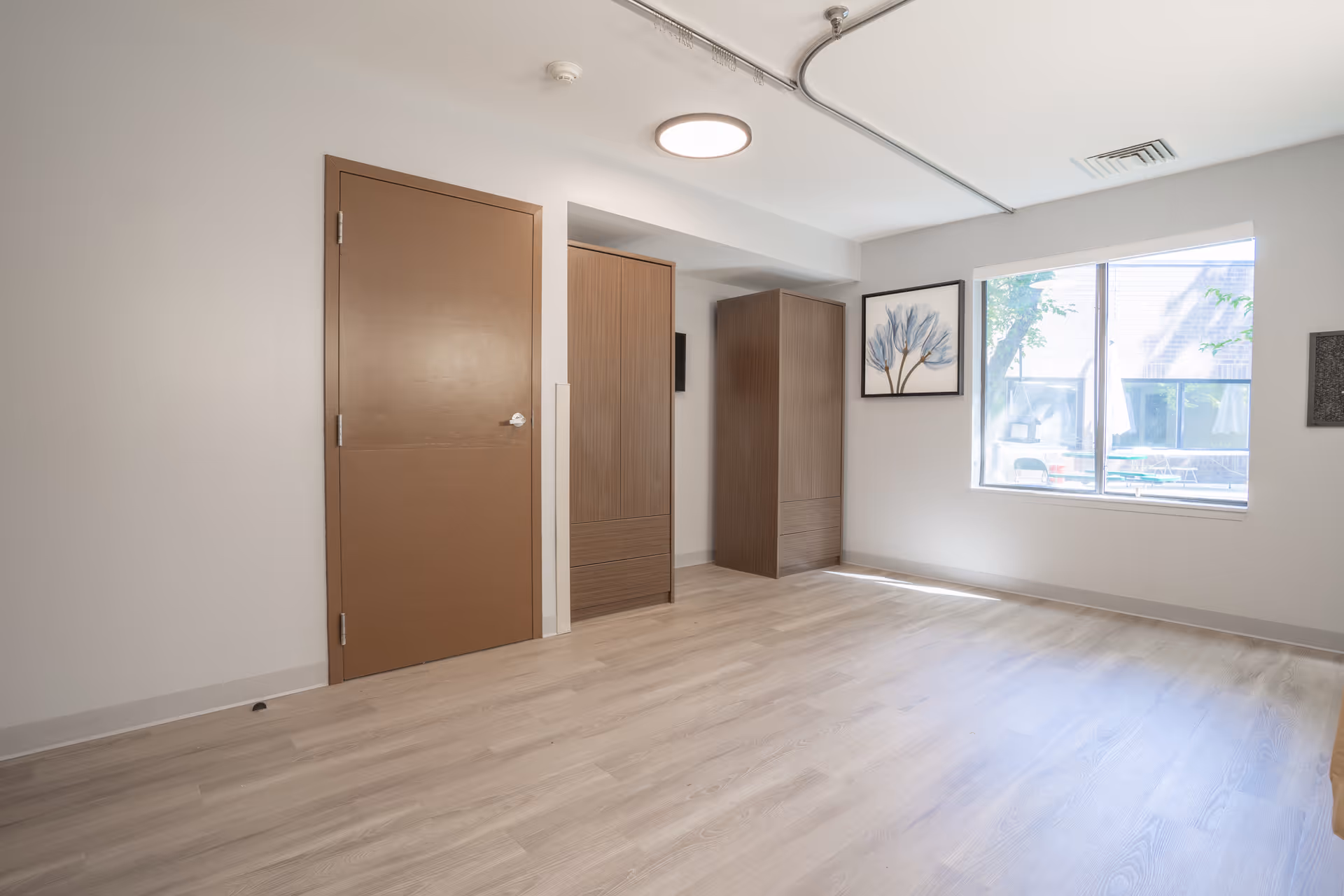 Sunlit empty room with wood-look flooring, a brown door, two tall wooden closets, and a window showing an outdoor view.