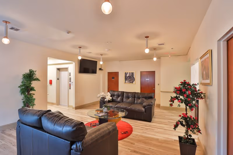 Common lounge area with black leather sofas, a glass coffee table on a red rug, potted plants and a wall-mounted TV.