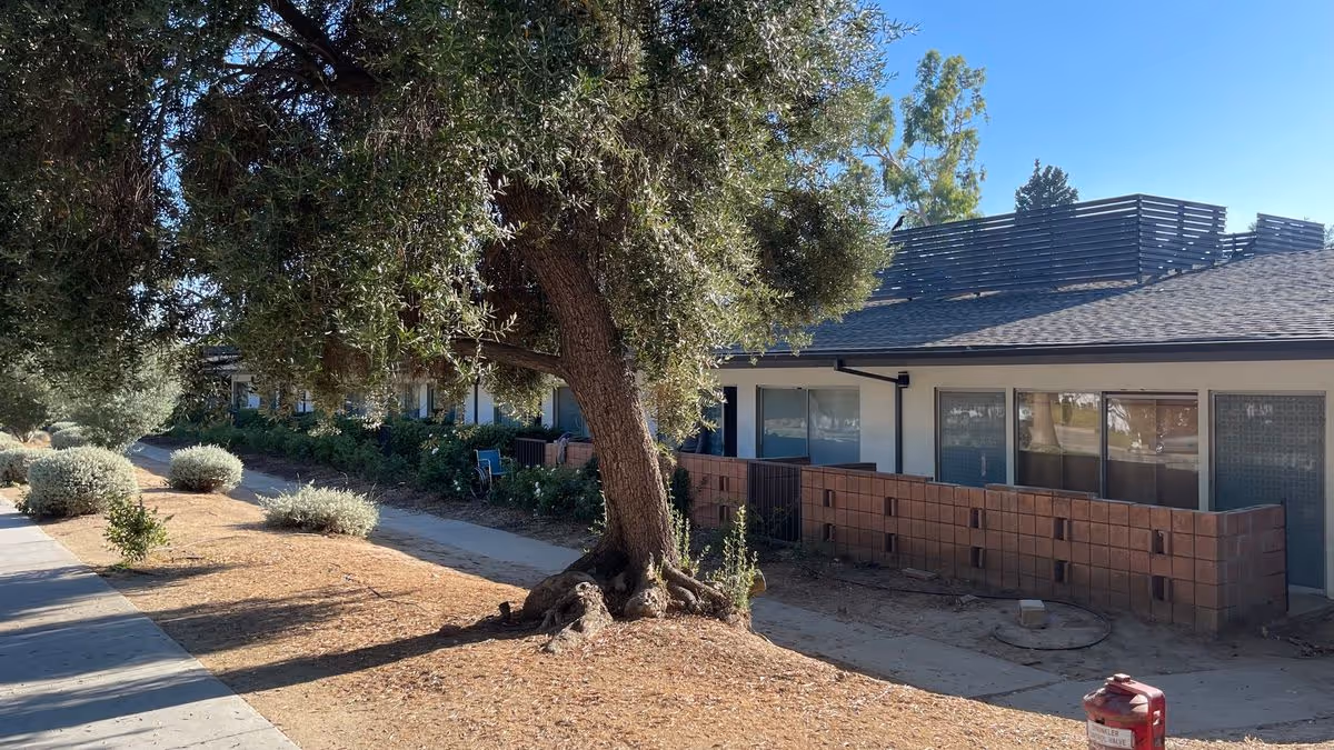 Single-story assisted living building exterior with a large tree, walkway, shrubs, and small patio walls under a clear blue sky.
