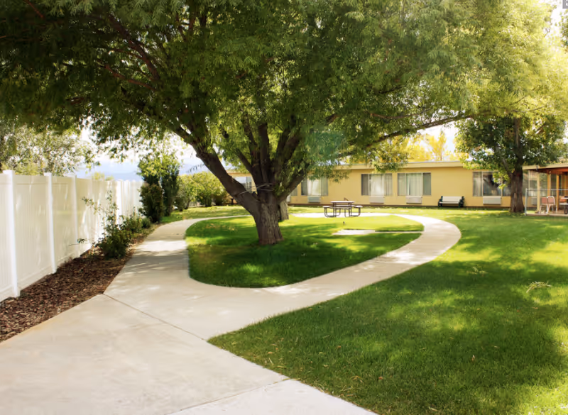 A curved concrete walkway surrounded by green grass and large leafy trees in an outdoor garden area. In the background, there is a single-story yellow building with windows, benches, and a picnic table under the trees.
