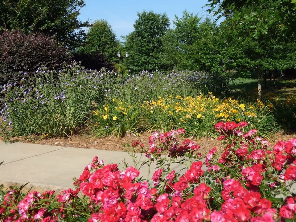 A vibrant garden area with blooming flowers including bright pink, yellow, and purple blossoms, surrounded by green trees and bushes under a clear blue sky. A concrete pathway runs through the garden.