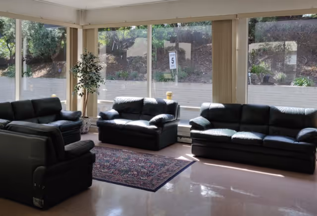 A bright living room with large windows showing an outdoor view. The room contains three black leather sofas arranged around a patterned area rug on a shiny floor. There is a tall potted plant near the windows.