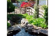 A landscaped outdoor garden with a small rocky stream and wooden bridge.