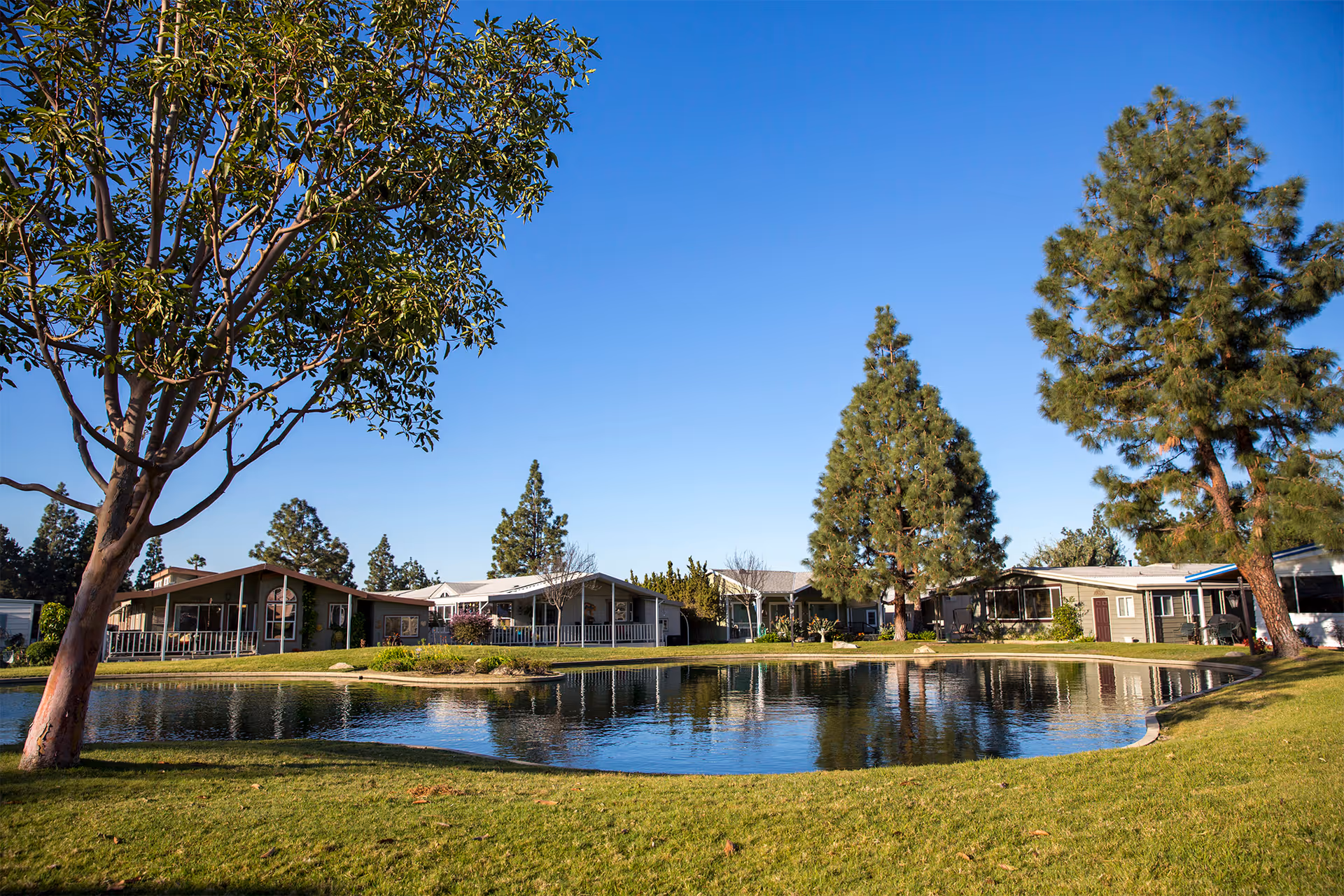A serene outdoor scene at a senior living mobile home community featuring a small pond surrounded by green grass, several trees, and multiple single-story mobile homes in the background under a clear blue sky.