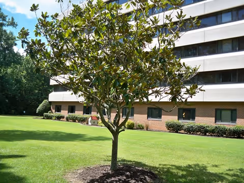 A small tree with green leaves planted in a grassy lawn area in front of a multi-story building with brick and white exterior walls and several windows.