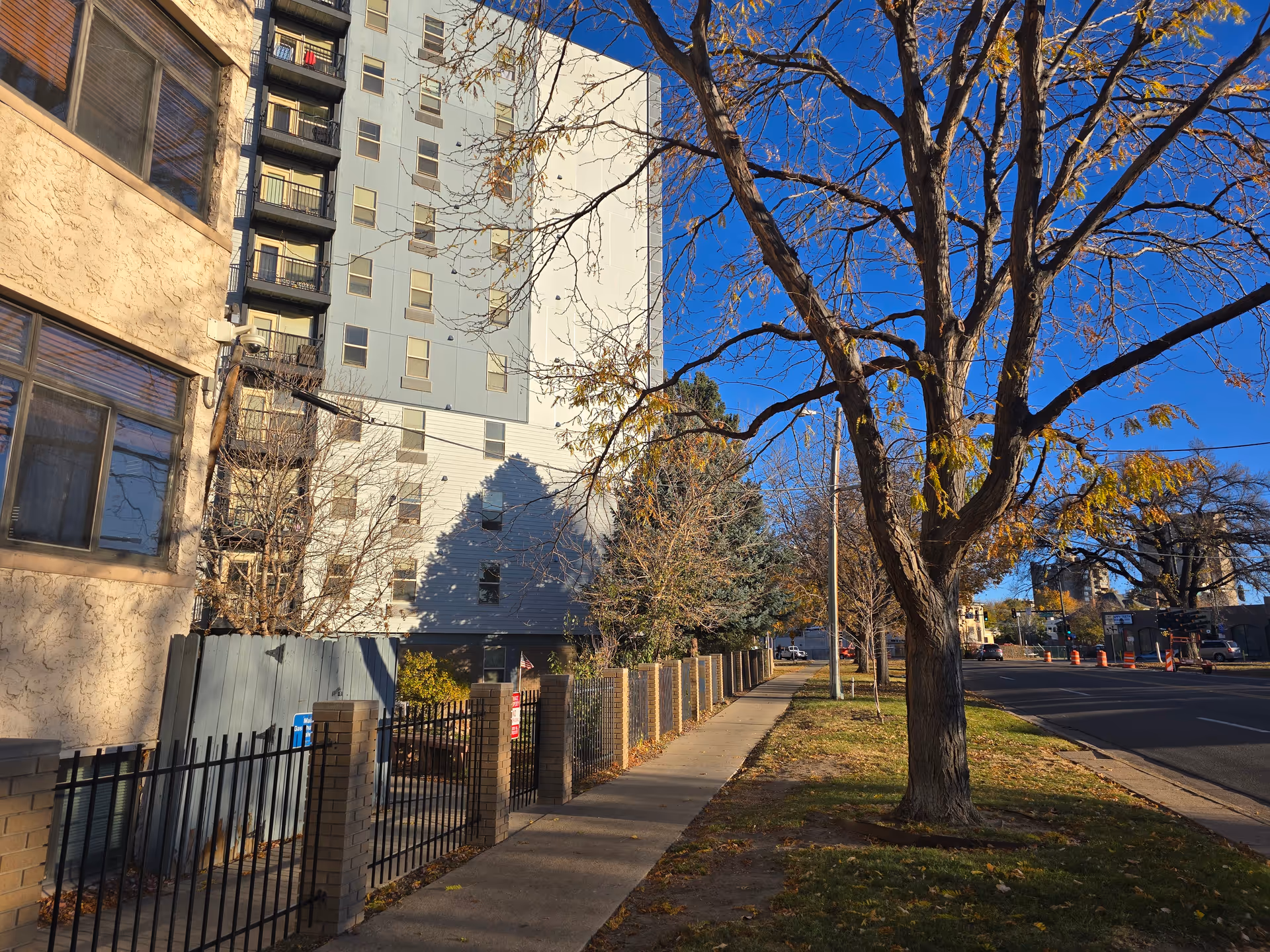 Sidewalk along a street with a large tree and a fence bordering a multi-story building under a clear blue sky.