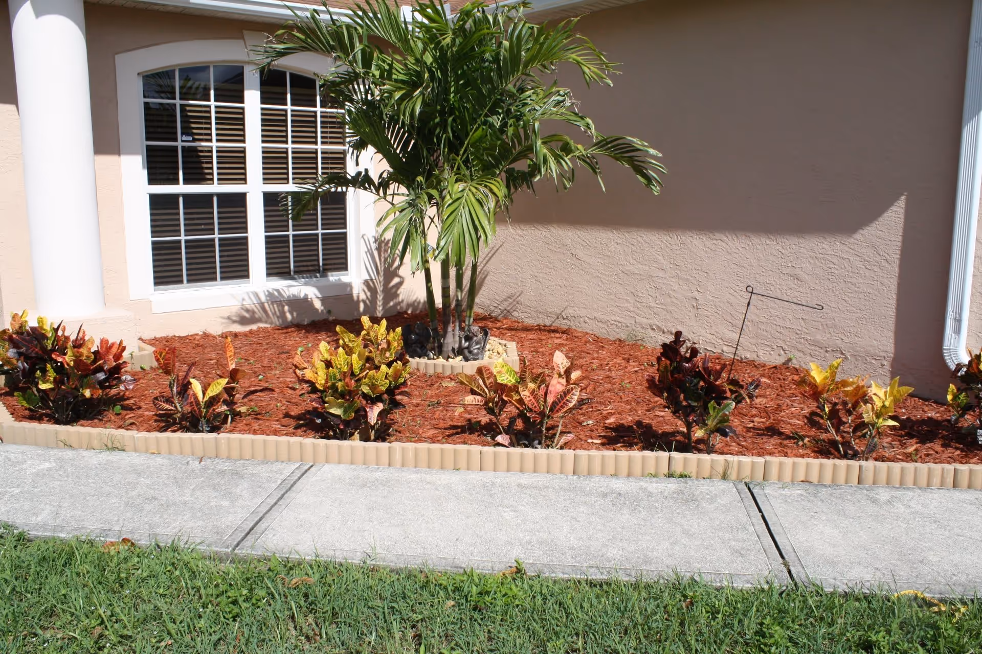 A landscaped garden area outside a building with a large window and white column. The garden has a small palm tree surrounded by colorful plants and red mulch, bordered by beige edging. A concrete sidewalk runs in front of the garden, with green grass beyond it.
