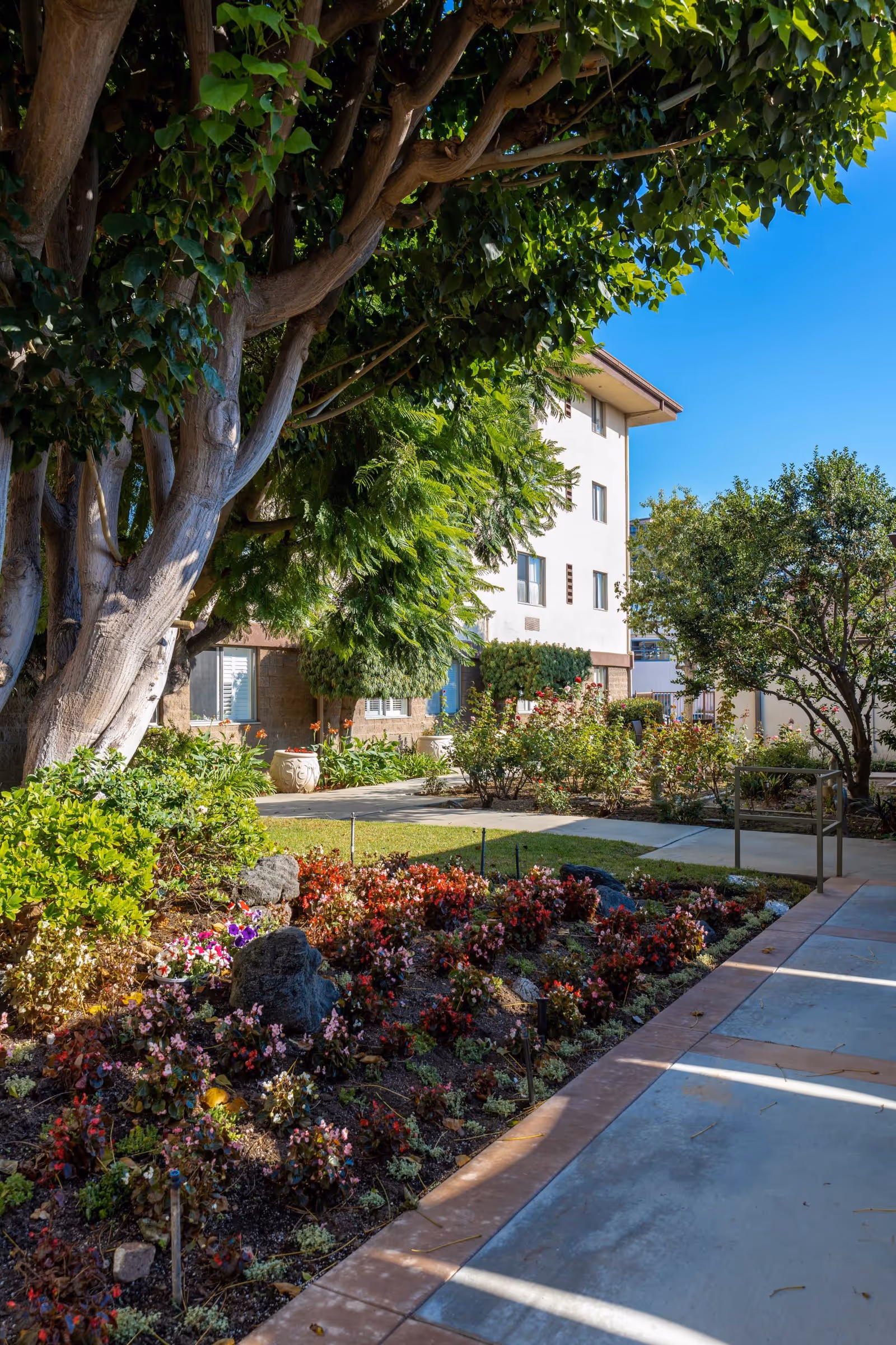 A landscaped garden area with colorful flowers, shrubs, and large trees next to a paved walkway. In the background, there is a multi-story residential building under a clear blue sky.
