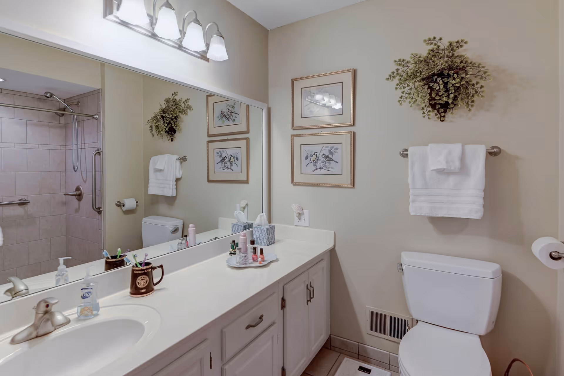 A clean and well-lit bathroom featuring a white countertop with a sink, various toiletries, and a large mirror above. On the right side, there is a white toilet with a towel rack above it holding neatly folded white towels. The wall is decorated with two framed bird illustrations and a hanging green plant. In the background, a tiled shower area with a grab bar and showerhead is visible.