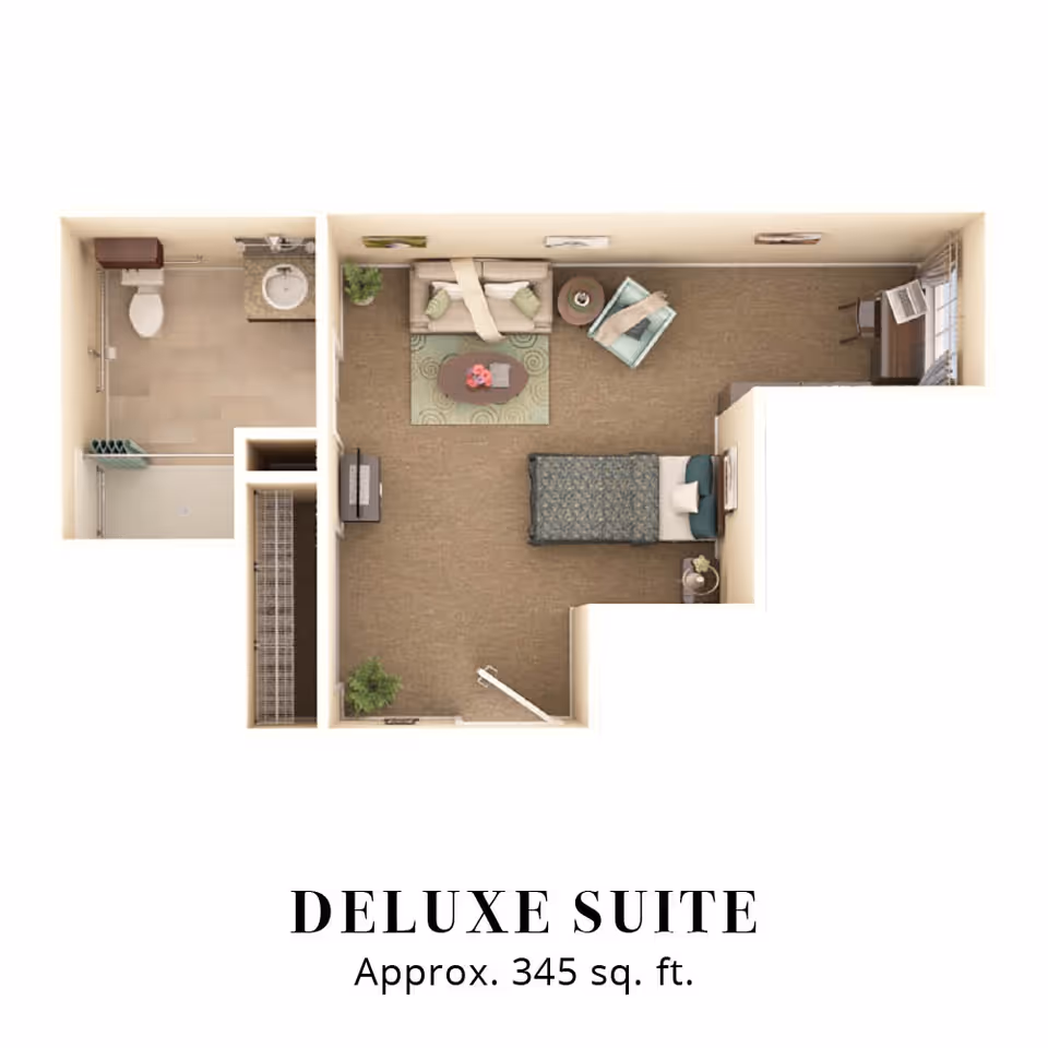 Top-down floor plan of a deluxe suite approximately 345 square feet, showing a combined living and sleeping area with a bed, sofa, armchair, coffee table, desk, and plants. There is a separate bathroom with a toilet, sink, and shower, and a closet near the entrance.