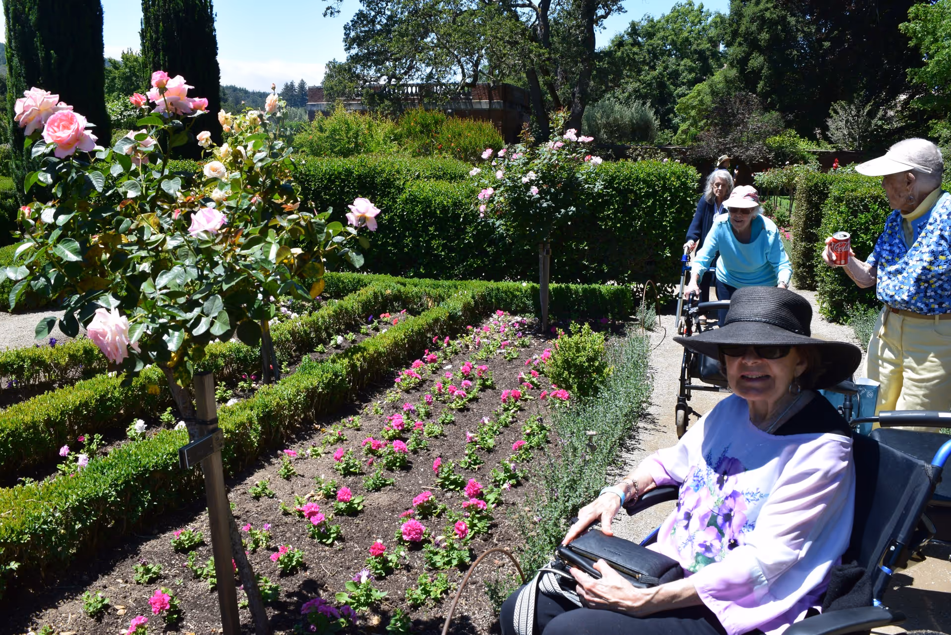 A group of elderly women enjoying a sunny day in a garden with blooming pink and white flowers. One woman in a wheelchair wearing a black hat and sunglasses is in the foreground, while others walk or use walkers along the garden path surrounded by green hedges and trees.