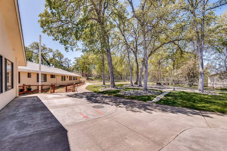 Outdoor view of Meadowood Nursing Center showing a paved walkway, a building with windows on the left, and a grassy area with several trees and a fence in the background under a clear blue sky.