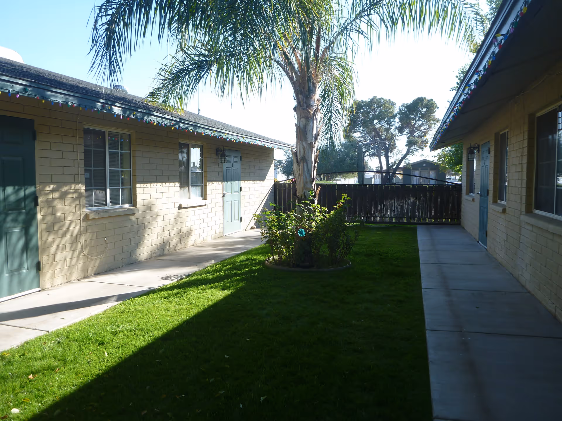 Outdoor courtyard area with green grass, a palm tree in the center surrounded by small plants, and two single-story buildings with beige brick walls and green doors on either side. There are windows on the buildings and a wooden fence at the far end of the courtyard. The sky is clear and blue.